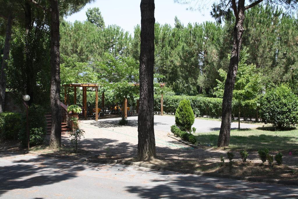 Hotel Ristorante Il Pino Чиуси Экстерьер фото